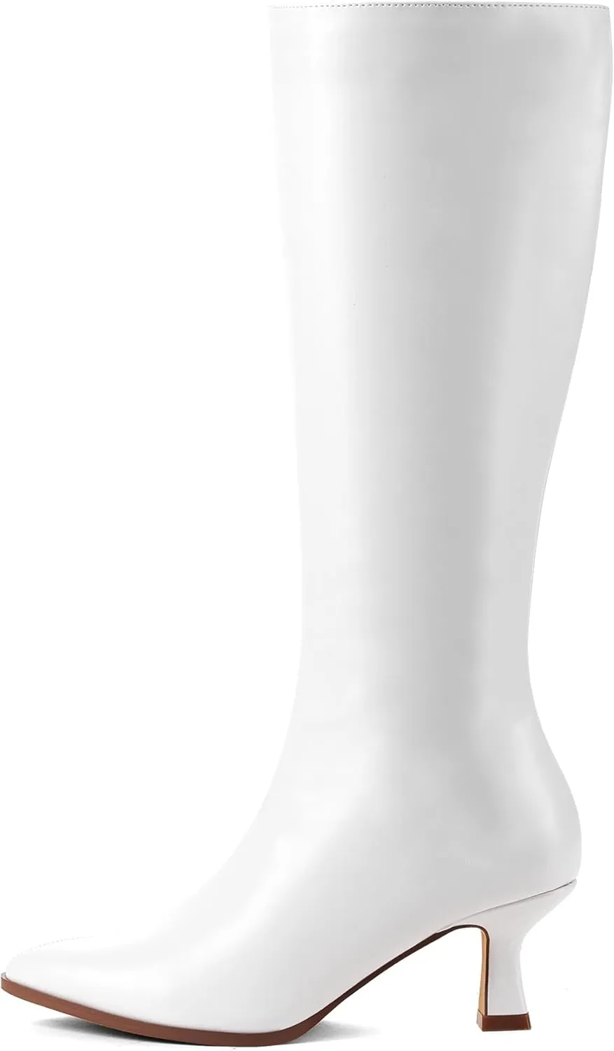 GENSHUO Knee High Boots Women Pointed Toe 2.3 Inches Kitten Heel Tall Boots Classic Fashionable Long Boots with Side Zipper Winter