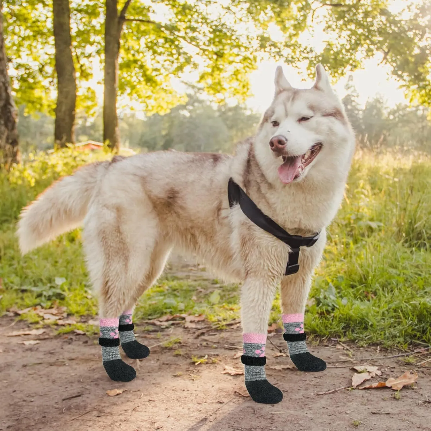KOOLTAIL Anti Slip Dog Socks for Hot/Clod Pavement to Prevent Licking Paws，Dog Booties for Hardwood Floors, Traction Rain Dog Boots&Paw Protectors Shoes with Grip for Small Medium Large Senior Dogs S