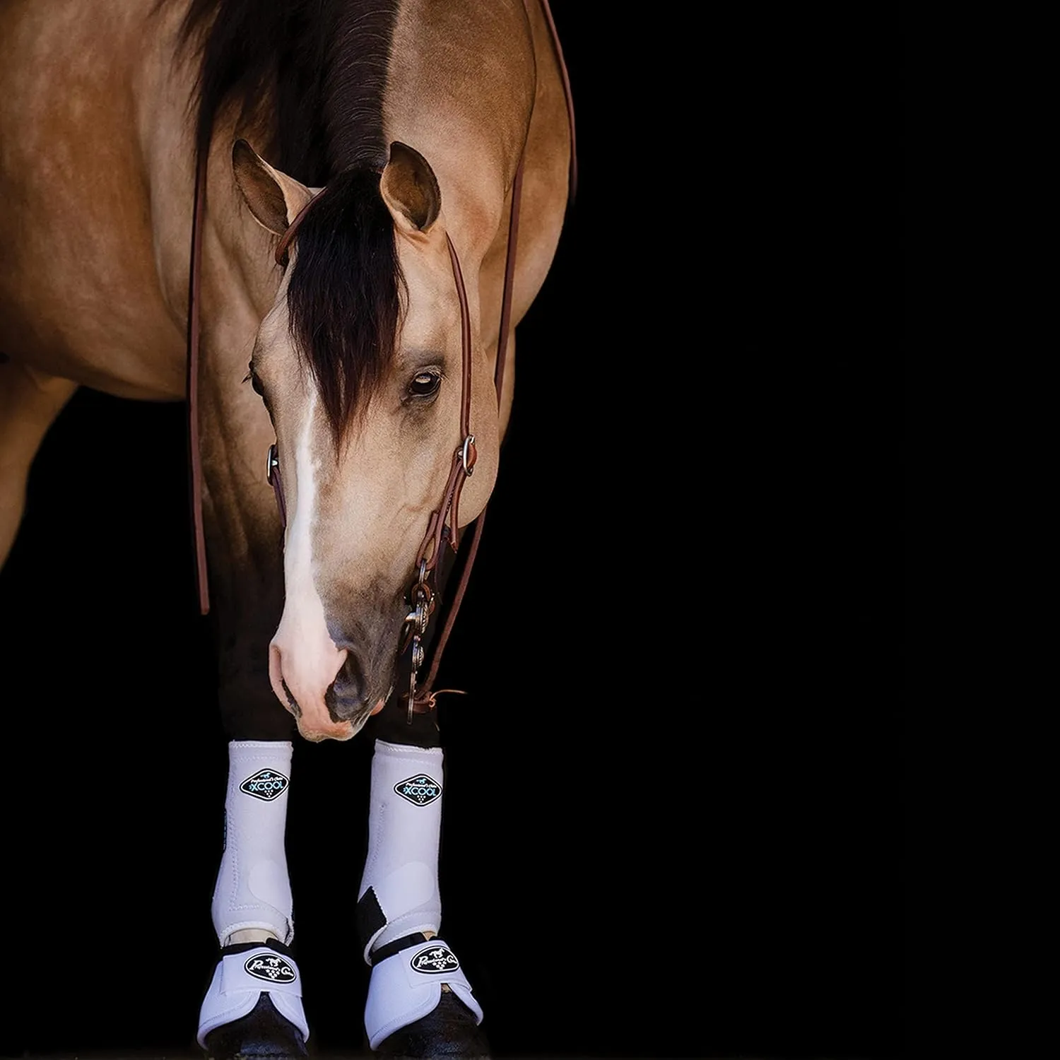 Professional's Choice Ballistic Overreach Bell Boots for Horses | Superb Protection, Durability & Comfort | Quick Wrap Hook & Loop