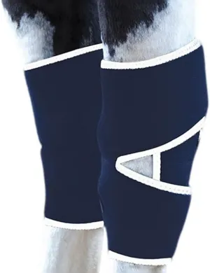 Professional's Choice Magnetic Hock Boot